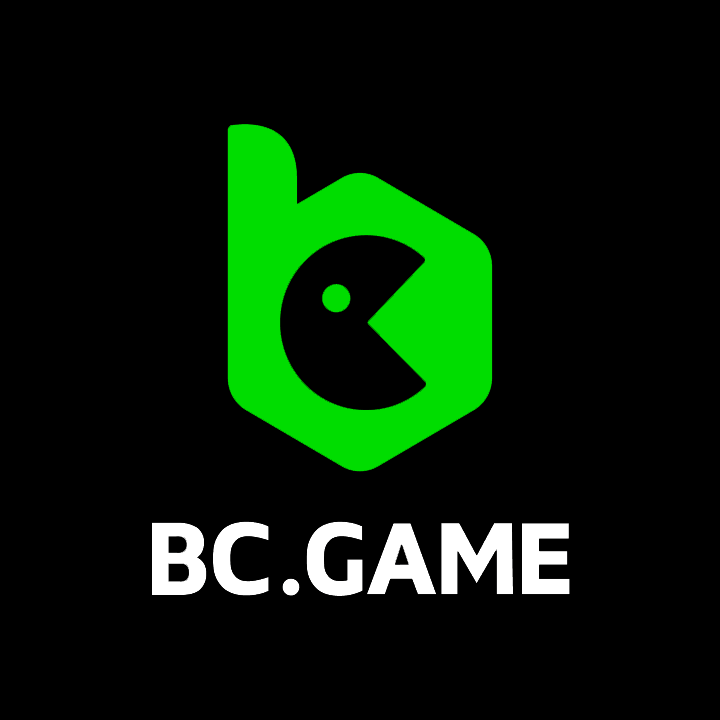 Comprehensive Guide to Payment Methods on BC Game