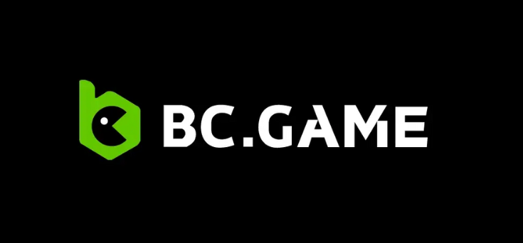 Comprehensive Guide to Payment Methods on BC Game